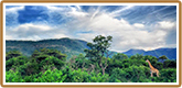 Click to read more about our Panoramas Tour